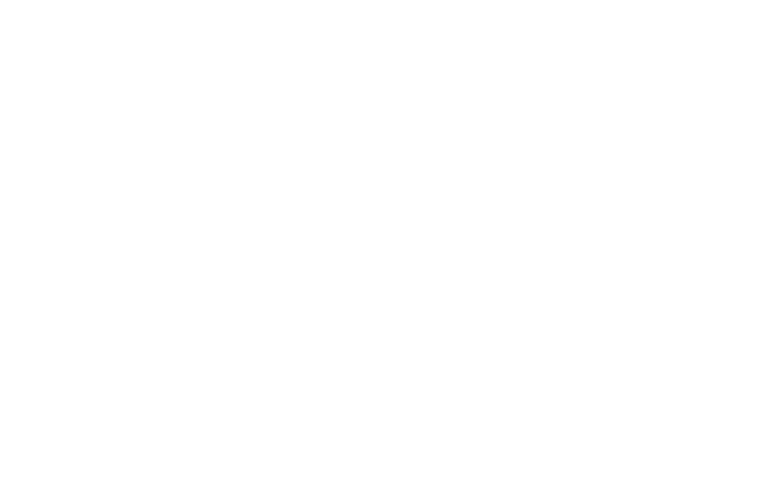 Logo tipografico bianco ufficiale Lucca 105 Boutique Apartments